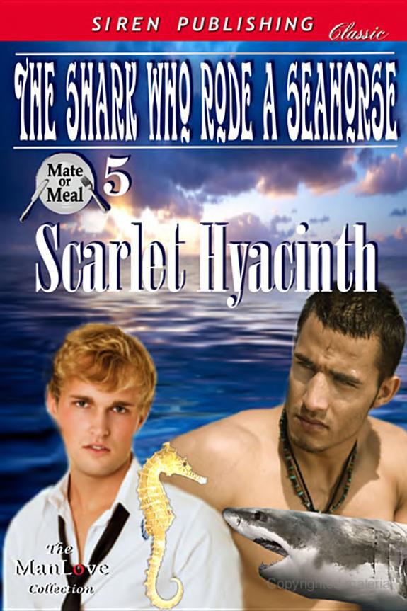 The Shark Who Rode a Seahorse by Scarlet Hyacinth
