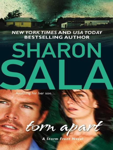 Read Torn Apart by Sharon Sala online free full book. China Edition