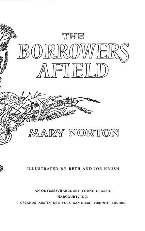 the borrowers afield