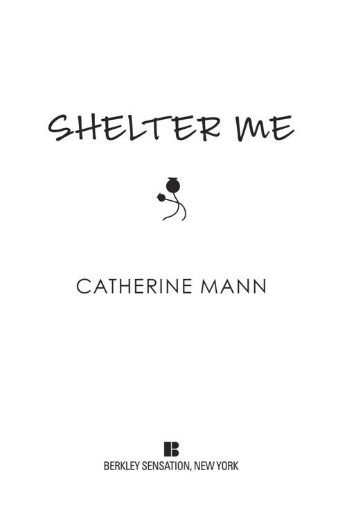 Shelter Me by Catherine Mann