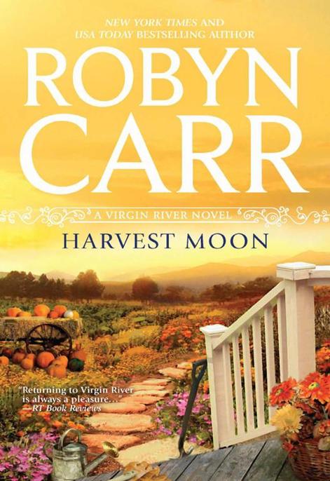 moonlight road by robyn carr
