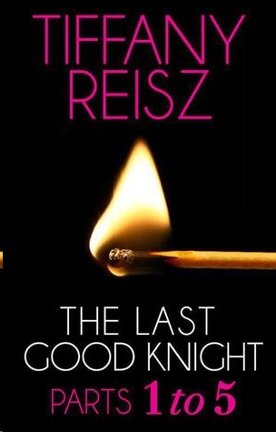 the last goodnight book review