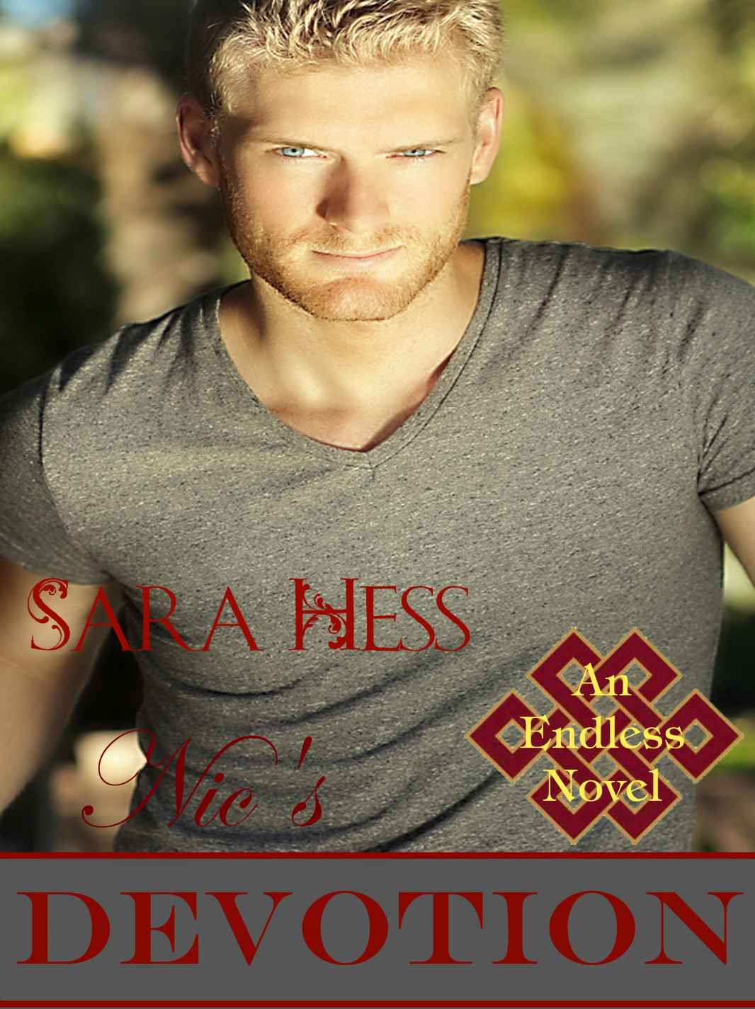 Read Nics Devotion An Endless Series Book One By Sara Hess Online