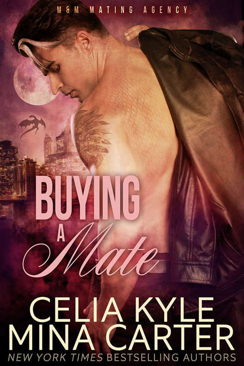 Read Buying a Mate (BBW Paranormal Shapeshifter Romance) (Quick & Furry