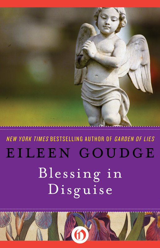 Read Blessing In Disguise By Eileen Goudge Online Free Full Book