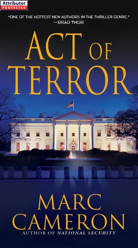 Act Of Terror by Marc Cameron