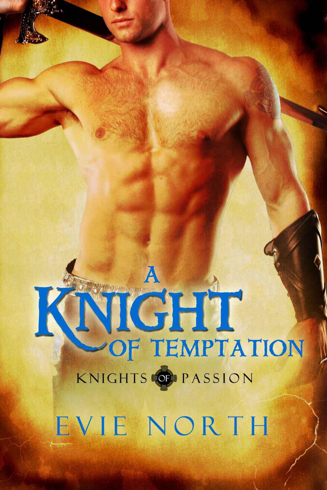 Knightly passions 0.81